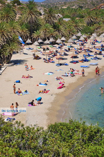 Vai Kreta | Lassithi Kreta Griekenland 37 - Foto van https://www.grieksegids.nl/fotos/vai/normaal/vai-kreta-037.jpg