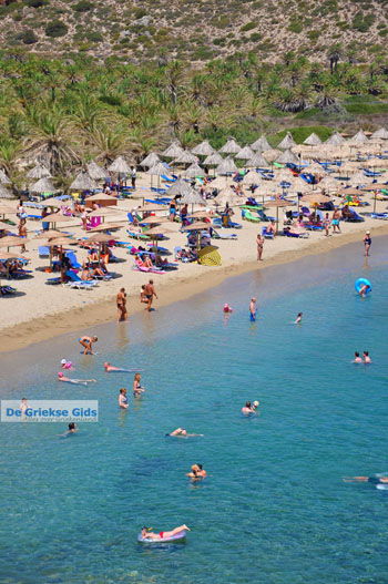 Vai Kreta | Lassithi Kreta Griekenland 39 - Foto van https://www.grieksegids.nl/fotos/vai/normaal/vai-kreta-039.jpg