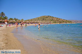 Vai Kreta | Lassithi Kreta Griekenland 43 - Foto van https://www.grieksegids.nl/fotos/vai/normaal/vai-kreta-043.jpg