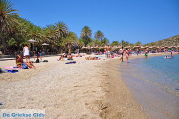 Vai Kreta | Lassithi Kreta Griekenland 45 - Foto van https://www.grieksegids.nl/fotos/vai/normaal/vai-kreta-045.jpg