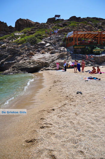 Vai Kreta | Lassithi Kreta Griekenland 46 - Foto van https://www.grieksegids.nl/fotos/vai/normaal/vai-kreta-046.jpg