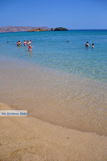 Vai Kreta | Lassithi Kreta Griekenland 50 - Foto van https://www.grieksegids.nl/fotos/vai/normaal/vai-kreta-050.jpg