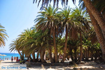 Vai Kreta | Lassithi Kreta Griekenland 56 - Foto van https://www.grieksegids.nl/fotos/vai/normaal/vai-kreta-056.jpg