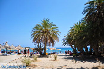 Vai Kreta | Lassithi Kreta Griekenland 57 - Foto van https://www.grieksegids.nl/fotos/vai/normaal/vai-kreta-057.jpg
