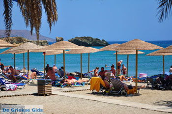 Vai Kreta | Lassithi Kreta Griekenland 59