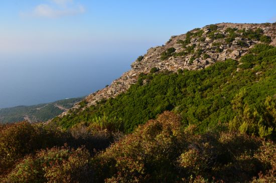 ikaria