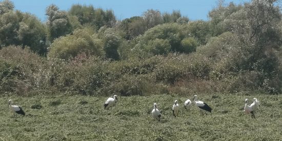 Natuur in griekenland