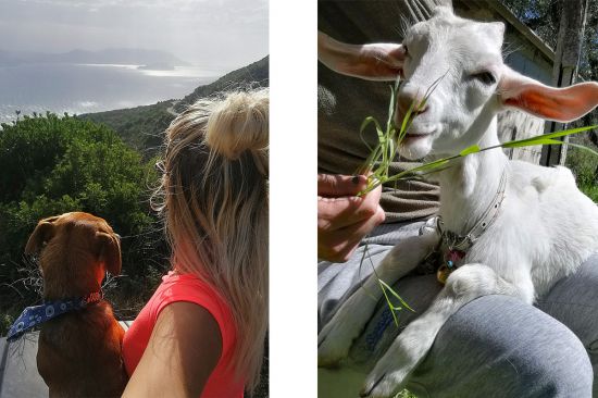 Uitzicht op Zakynthos en geitje