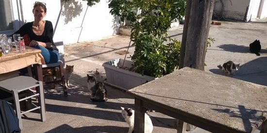 Ouzerie in Griekenland