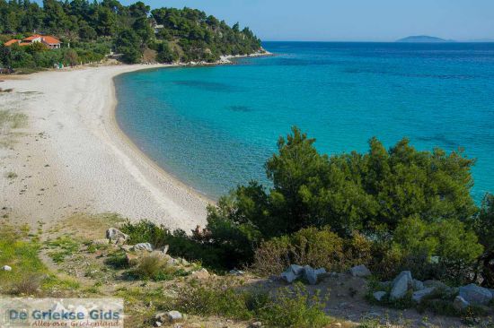 Elia strand Chalkidiki