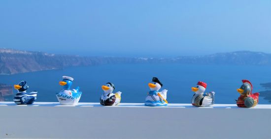 Greek Ducks in Santorini