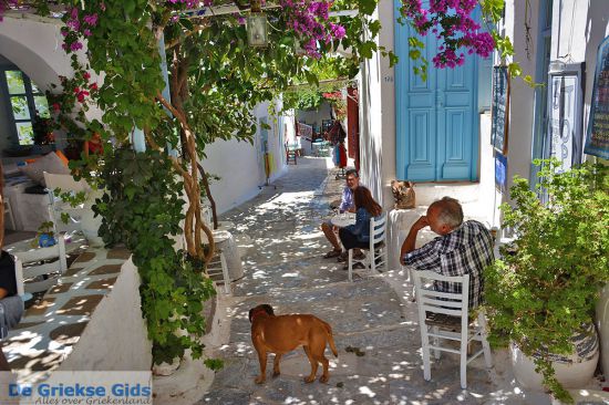 Amorgos stad