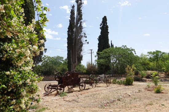 Antonis Tritsis Metropolitan Park