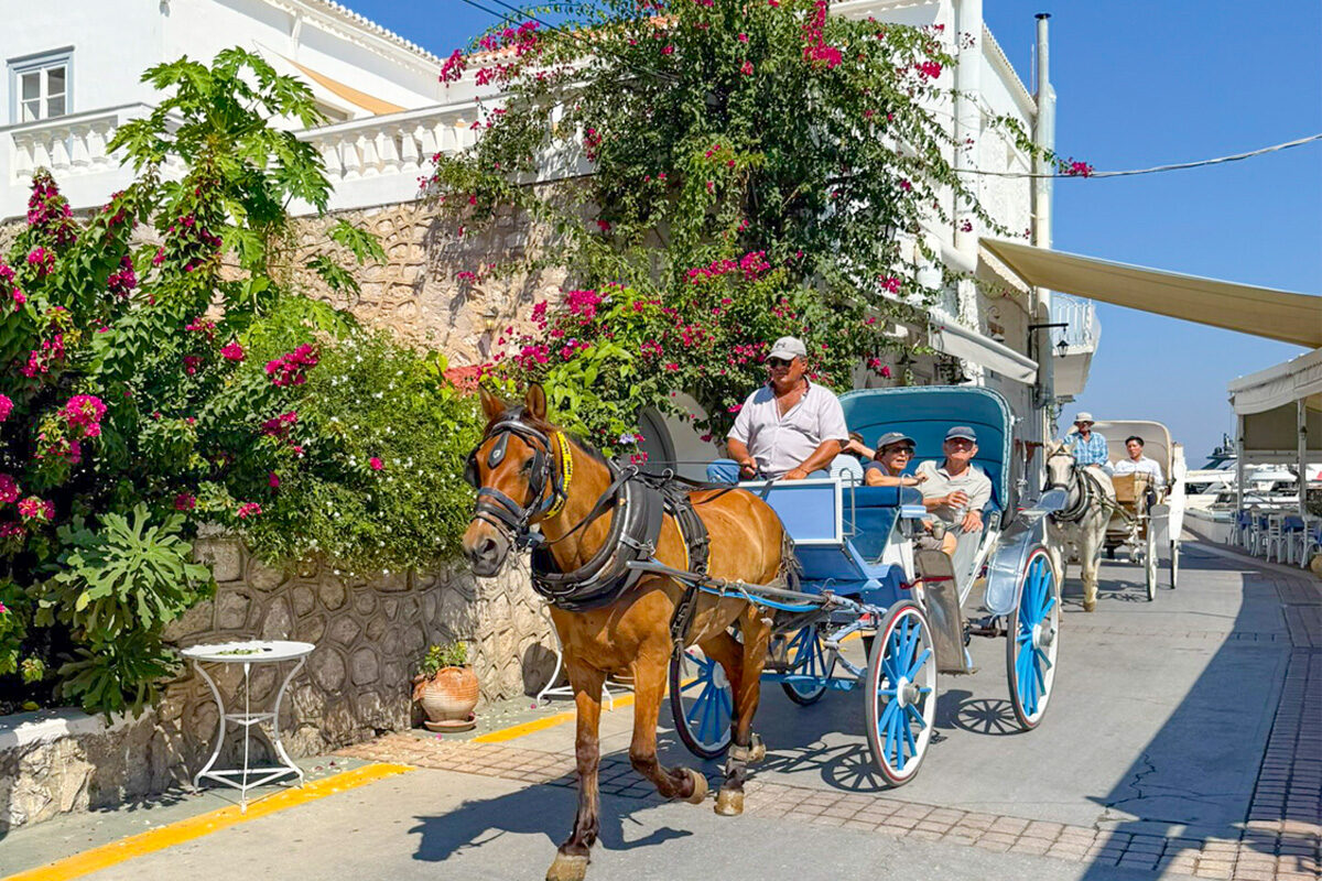 Spetses paardenkoets