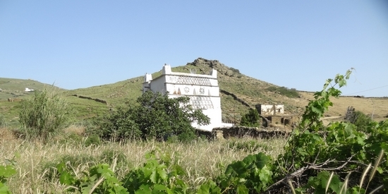 Venetiaanse duiventil