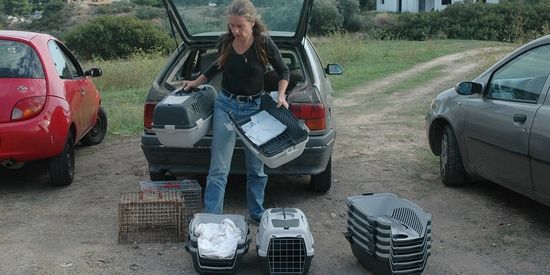 Irene aan het werk op Kythira