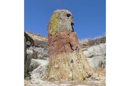 Versteende woud Lesbos