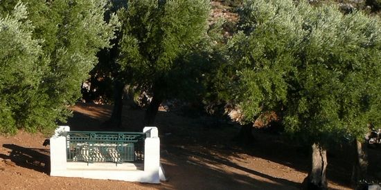 Skyros