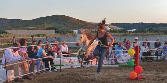 The Skyrian horse festival