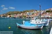 Pythagorion: aangename vakantiebestemming op Samos