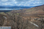 De meren van Prespes | Florina Macedonie | Griekenland foto 3 - Foto van De Griekse Gids