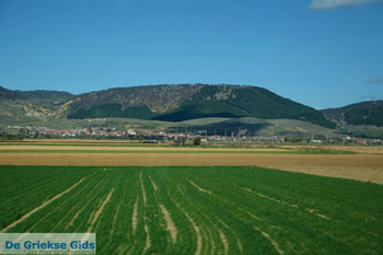 Vanaf Amindeo via Aetos naar Nimfeon | Florina Macedonie Foto 1 - Foto van https://www.grieksegids.nl/fotos/west-macedonie/florina/normaal/florina-macedonie-griekenland-020.jpg