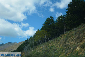 Vanaf Amindeo via Aetos naar Nimfeon | Florina Macedonie Foto 4 - Foto van https://www.grieksegids.nl/fotos/west-macedonie/florina/normaal/florina-macedonie-griekenland-023.jpg