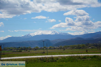 Natuur onderweg van Amindeo naar Florina stad | Macedonie foto 1 - Foto van https://www.grieksegids.nl/fotos/west-macedonie/florina/normaal/florina-macedonie-griekenland-061.jpg