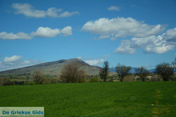 Natuur onderweg van Amindeo naar Florina stad | Macedonie foto 2 - Foto van https://www.grieksegids.nl/fotos/west-macedonie/florina/normaal/florina-macedonie-griekenland-062.jpg