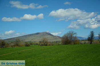 Natuur onderweg van Amindeo naar Florina stad | Macedonie foto 3 - Foto van https://www.grieksegids.nl/fotos/west-macedonie/florina/normaal/florina-macedonie-griekenland-063.jpg