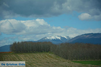 Natuur onderweg van Amindeo naar Florina stad | Macedonie foto 9 - Foto van https://www.grieksegids.nl/fotos/west-macedonie/florina/normaal/florina-macedonie-griekenland-069.jpg