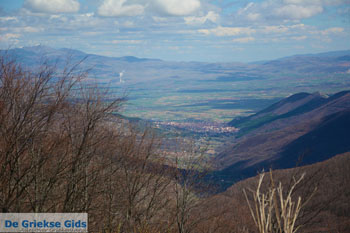 Florina stad | Macedonie Griekenland | Foto 22 - Foto van https://www.grieksegids.nl/fotos/west-macedonie/florina/normaal/florina-macedonie-griekenland-095.jpg