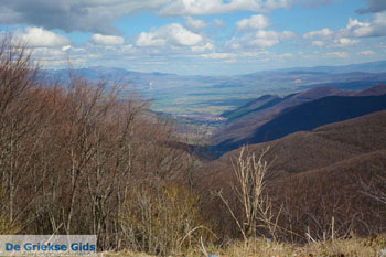 Florina stad | Macedonie Griekenland | Foto 23 - Foto van https://www.grieksegids.nl/fotos/west-macedonie/florina/normaal/florina-macedonie-griekenland-096.jpg