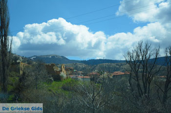 De meren van Prespes | Florina Macedonie | Griekenland foto 1 - Foto van https://www.grieksegids.nl/fotos/west-macedonie/florina/normaal/florina-macedonie-griekenland-107.jpg