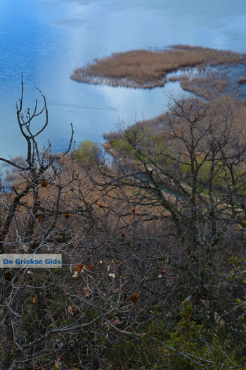 De meren van Prespes | Florina Macedonie | Griekenland foto 28 - Foto van https://www.grieksegids.nl/fotos/west-macedonie/florina/normaal/florina-macedonie-griekenland-134.jpg