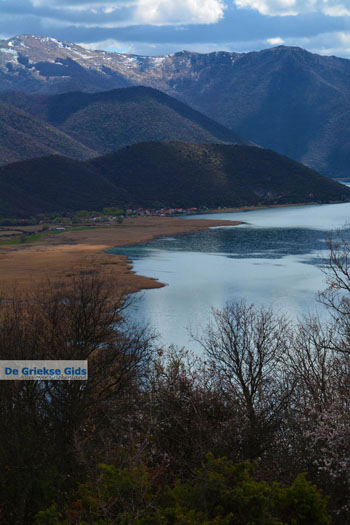 De meren van Prespes | Florina Macedonie | Griekenland foto 33 - Foto van https://www.grieksegids.nl/fotos/west-macedonie/florina/normaal/florina-macedonie-griekenland-139.jpg