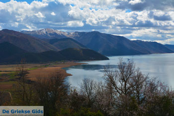 De meren van Prespes | Florina Macedonie | Griekenland foto 34 - Foto van https://www.grieksegids.nl/fotos/west-macedonie/florina/normaal/florina-macedonie-griekenland-140.jpg
