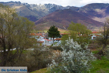 Dorpje Laimos bij Prespes | Florina Macedonie | Foto 2 - Foto van https://www.grieksegids.nl/fotos/west-macedonie/florina/normaal/florina-macedonie-griekenland-149.jpg