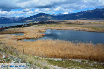 Bij de meren van Prespes | Florina Macedonie | Griekenland foto 42 - Foto van https://www.grieksegids.nl/fotos/west-macedonie/florina/normaal/florina-macedonie-griekenland-152.jpg