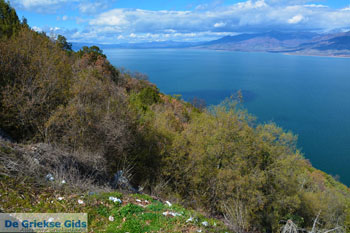 Bij de meren van Prespes | Florina Macedonie | Griekenland foto 45 - Foto van https://www.grieksegids.nl/fotos/west-macedonie/florina/normaal/florina-macedonie-griekenland-155.jpg