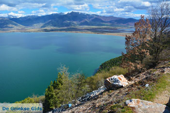 Bij de meren van Prespes | Florina Macedonie | Griekenland foto 47 - Foto van https://www.grieksegids.nl/fotos/west-macedonie/florina/normaal/florina-macedonie-griekenland-157.jpg