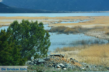 Bij de meren van Prespes | Florina Macedonie | Griekenland foto 50 - Foto van https://www.grieksegids.nl/fotos/west-macedonie/florina/normaal/florina-macedonie-griekenland-160.jpg