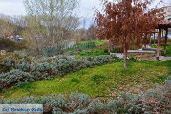 Grevena | Macedonie Griekenland 25 - Foto van https://www.grieksegids.nl/fotos/west-macedonie/grevena/normaal/grevena-macedonie-griekenland-025.jpg