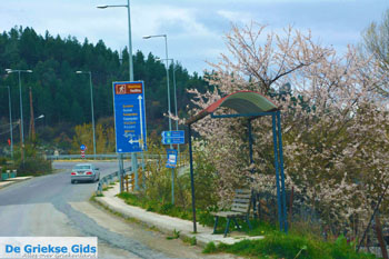 Grevena | Macedonie Griekenland 26 - Foto van https://www.grieksegids.nl/fotos/west-macedonie/grevena/normaal/grevena-macedonie-griekenland-026.jpg