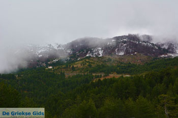 Valia Kalda Grevena | Macedonie Griekenland 49 - Foto van https://www.grieksegids.nl/fotos/west-macedonie/grevena/normaal/grevena-macedonie-griekenland-049.jpg