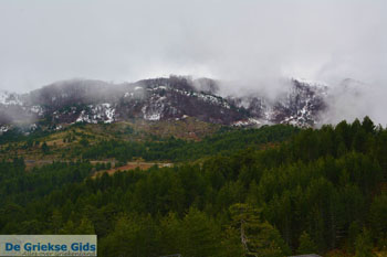 Valia Kalda Grevena | Macedonie Griekenland 50 - Foto van https://www.grieksegids.nl/fotos/west-macedonie/grevena/normaal/grevena-macedonie-griekenland-050.jpg