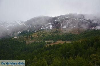 Valia Kalda Grevena | Macedonie Griekenland 54 - Foto van https://www.grieksegids.nl/fotos/west-macedonie/grevena/normaal/grevena-macedonie-griekenland-054.jpg