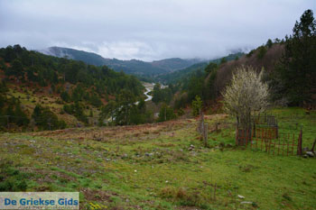 Grevena | Macedonie Griekenland 69 - Foto van https://www.grieksegids.nl/fotos/west-macedonie/grevena/normaal/grevena-macedonie-griekenland-069.jpg