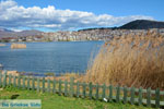 GriechenlandWeb Kastoria Stadt Kastoria - Foto GriechenlandWeb.de