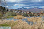 GriechenlandWeb Kastoria Stadt Kastoria - Foto GriechenlandWeb.de
